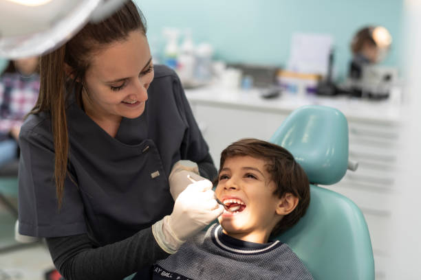 Best Emergency Dental Care for Broken or Chipped Teeth in Bellevue, IL