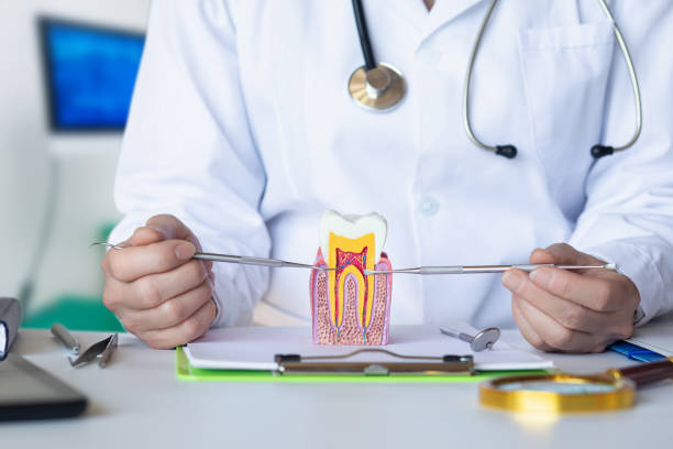 Best Emergency Treatment for Dental Infections or Abscesses in Bellevue, IL